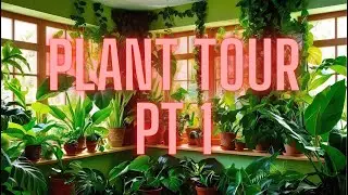 Complete Plant Tour Pt. 1 | Elusive Plants