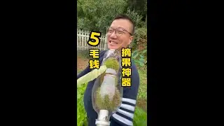 第1集：自制&ldquo;摘果神器&rdquo;，带着它感受收获的秋天