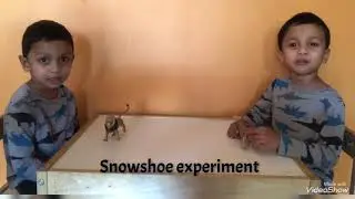 How does snowshoes work | Winter  science experiment