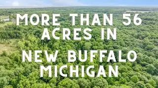 10172 US Highway 12 (New Buffalo, MI)
