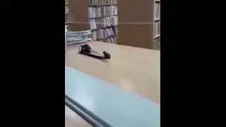 Бесплатная, доступная медицина. Подсудное дело.