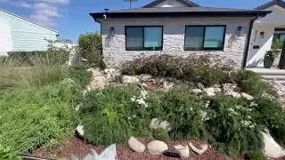 Best Way to Trim NATIVE PLANTS