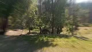 Spring Cleanup at Mountain Property 2025