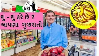Gujarati NRI Explain Truth About feeling