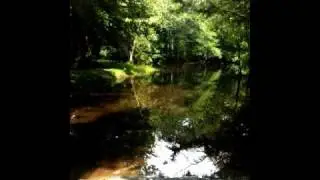 Gore's Landing in Fort McCoy, Florida