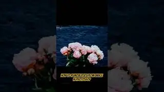 How to remove text from image in photoshop #photoshop #ps #amishagraphics20 #trend