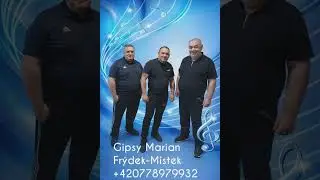 Gipsy Marian-Frydek Mistek Av Čaje (cover) 2025