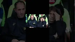Tottenham sack interim coach Cristian Stellini after thrashing: 'Unacceptable'