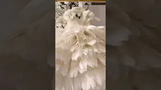 feather dresses for wedding party #wedding #feather #shorts #featherdress