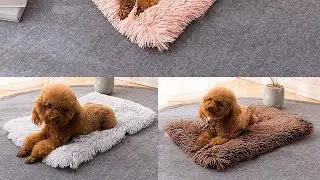 Round Plush Dog & Cat Pet Bed 9/29/2020 23:25