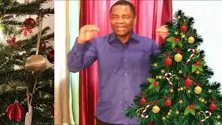 ORIGINE DU SAPIN DE NOEL