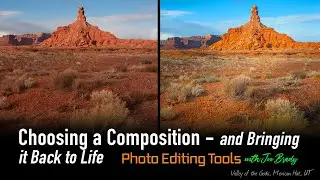 Which Photo Should You Edit? Choosing a composition and Bringing it Back to Life with Lightroom!