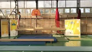Di&aacute;kolimpia&reg; Torna 