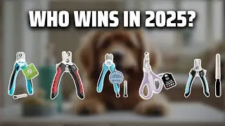 The Top 5 Best Nail Clippers in 2025 - Must Watch Before Buying!
