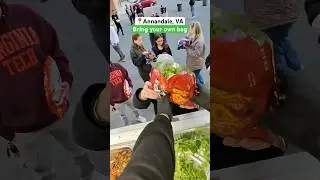Salad with chips