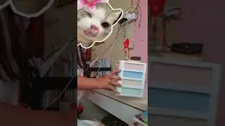 Hai gus maaf kalo dikit aja buatnya!  Gus aku lagi kemes meja kpop ku👁👄👁