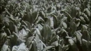 Colonial Expansion - Educational Film, 1950s