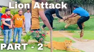 Lion Farm Visit & Lion Wants To Attack | Shero Ka Badshah | part 2