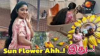 இன்னைக்கு Shoot..! இவ்ளோ Risk Ahh..! 🙄🫣 || DIML || @SharmysVlogs #subscribe #saree #serial 