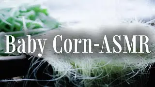 Corn Baby's ASMR | Comfortable Trigger Sounds | Suitable for those who want to fall asleep quickly