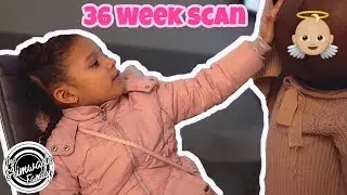 LOOKS LIKE SHE’S GONNA BE A WHOPPER 😅 || FINDING OUT BABY NUMBER 6’S CURRENT WEIGHT 👀