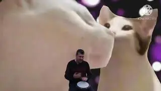 pop cat vs vibing cat but it's even more crazier