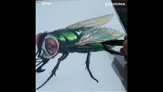 Lalat Hijau, belajar menggambar 3D,#3Dart#sketch#Drawing3D#Drawing#belajarmenggambar3d#lalathijau