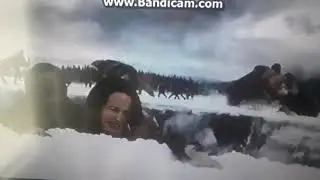 Twilight wolves~that's my girl