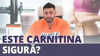 Este carnitina sigură? 👌 | GymBeam | Fitness Academy