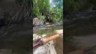 Fly fishing a small mountain creek after work.