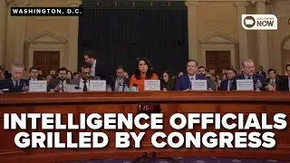 HEATED EXCHANGE: Trump intelligence officials face another grilling by Congress over chats leak