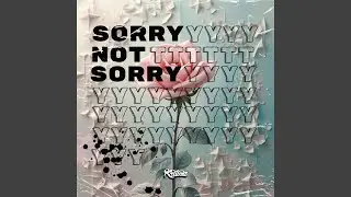 Sorry Not Sorry