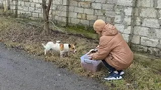 He waited by the cold wall&hellip; until someone finally stopped