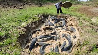 Wow, that's amazing. A female fisherman caught a lot of fish in a big stream.