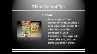 Bed Bug Exterminator Kenosha WI|(262)977-0410|Bed Bug Removal|Pest Exterminator Services Kenosha|WI