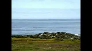 Cape St Martin Private Nature Reserve - West Coast : Erf 6396 - Panoramic Video Views