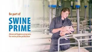 Boost Swine Health & Productivity with Swine Prime