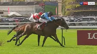 АВСТРАЛИЯ ВЫИГРАЛА ПРИЗ АББАЯ! | Асфура лидирует в спринте Группы 1 на гонке ParisLongchamp!