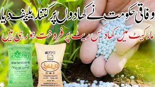 today fertilizers latest price 2023 پنجاب مارکیٹ کھاد ریٹ پرائز4k point