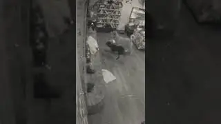 Собака предупреждает хозяина о существе в лесу #страшно #паранормально
