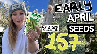 Ep157 - April Seed Sowing pt1. Courgettes, Carrots and Potatoes || Plot 37