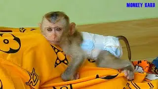 Baby Monkey | Lovely Mom Take Care Tiny Baby Nina Hugging Sleep Midday