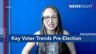 Dr. Susan MacManus on Voter Turnout, Key Amendments & Youth Vote in FL Election | NewsNight