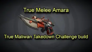 True Amara Maliwan Takedown Challenge Build