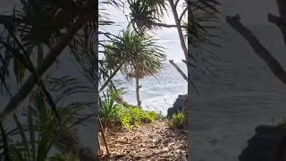 Exploring Upolu,  Samoa costal walk #samoa #nature #beach #fyp #walk #paradisetravel  #islandlife