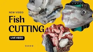 Live fish cutting &cleaning video || Indian fish market || seafood market / seafish cutting skills