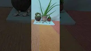 #Live highlight#nature#AloeVera plant#diy #Jade plant#Topyari #Marcescent cotton rose#Delhi#capital