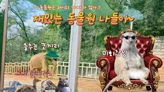 재밌는 동물원 나들이