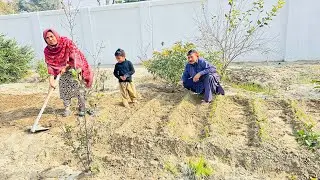 Sumera Ne Ghar mein gharmeion ki sabzian laga Di 