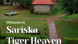 Sariska Tiger Heaven Resort jungle eco-resort near Sariska Tiger Reserve in Alwar | wildlife resort